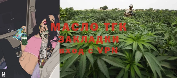 тгк Менделеевск