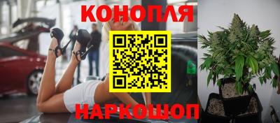 ALPHA PVP Шебекино