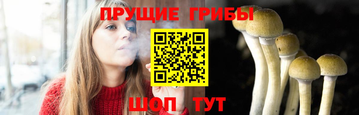 Приморско-Ахтарск  Галлюциногенные грибы GOLDEN TEACHER  Галлюциногенные грибы прущие грибы  Вход с VPN 