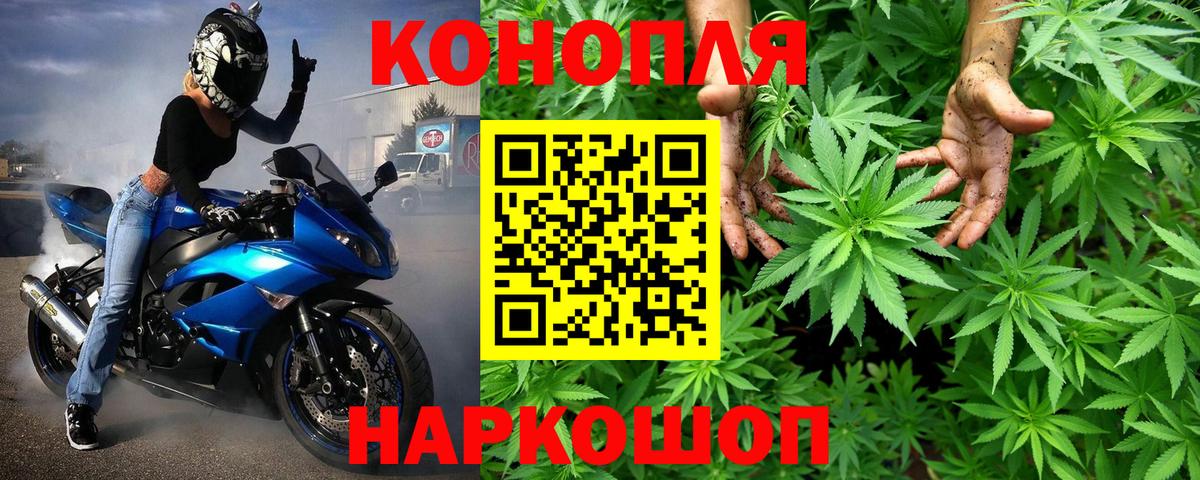 Каннабис тримм  Марихуана Bruce Banner  Приморско-Ахтарск  Вход с VPN  Бошки марихуана гибрид 
